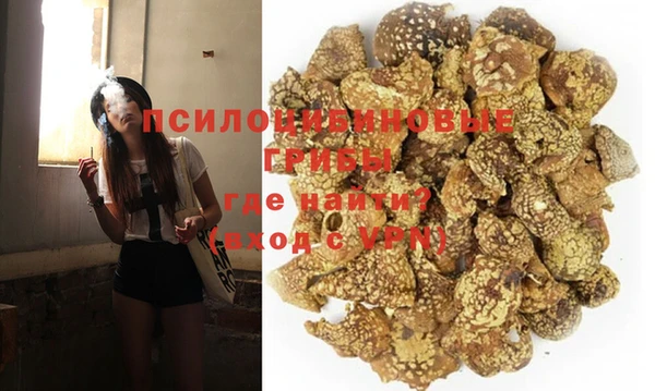 первитин Медвежьегорск