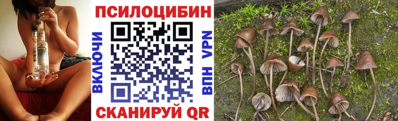 kraken зеркало  Оренбург  мориарти телеграм  Галлюциногенные грибы мухоморы 