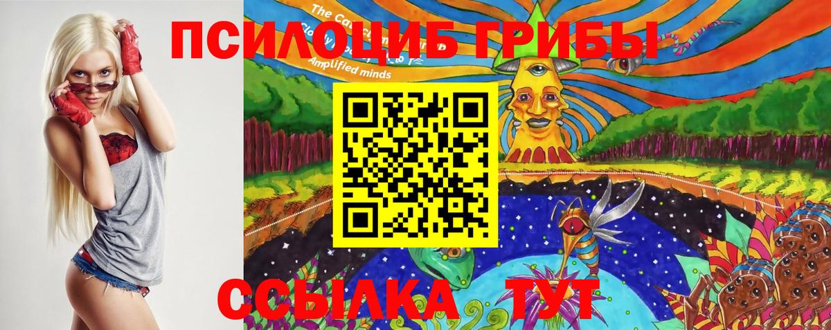 Оренбург  Псилоцибиновые грибы Cubensis  Вход с VPN  Псилоцибиновые грибы мицелий 
